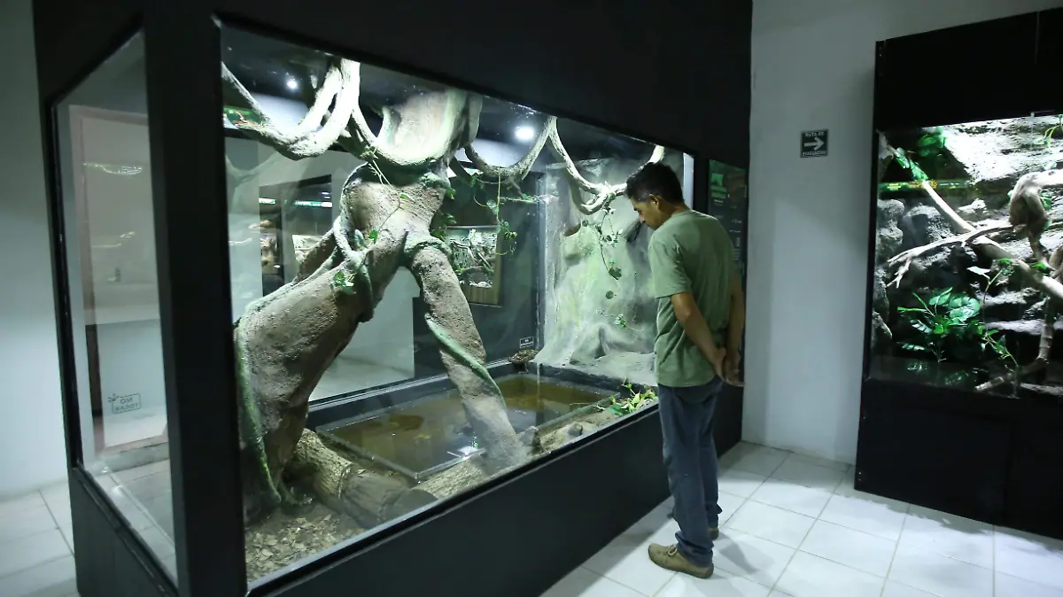 Protegiendo por 10 años distintas especie en Puebla3